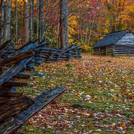 Вілла Bluebearry Patch Гатлінбург Екстер'єр фото